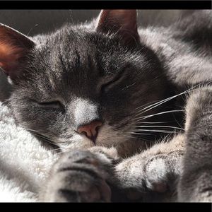 Meet your Posher, Leah